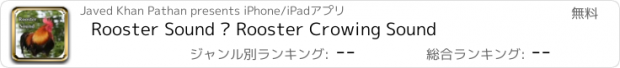 おすすめアプリ Rooster Sound – Rooster Crowing Sound