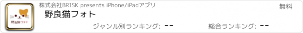 おすすめアプリ 野良猫フォト