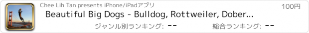 おすすめアプリ Beautiful Big Dogs - Bulldog, Rottweiler, Doberman, German Shepherd, Labrador retriever & others