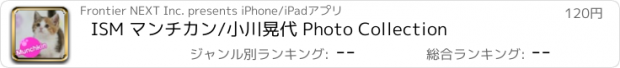 おすすめアプリ ISM マンチカン/小川晃代 Photo Collection