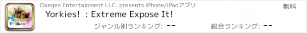 おすすめアプリ Yorkies!  : Extreme Expose It!