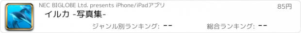 おすすめアプリ イルカ -写真集-