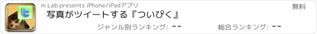 おすすめアプリ 写真がツイートする『ついぴく』