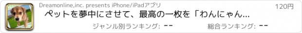 おすすめアプリ ペットを夢中にさせて、最高の一枚を「わんにゃんカメラ」