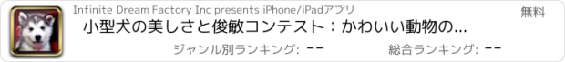 おすすめアプリ 小型犬の美しさと俊敏コンテスト：かわいい動物のレース - 無料版