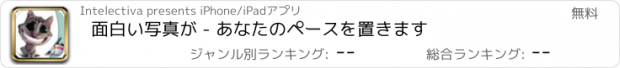 おすすめアプリ 面白い写真が - あなたのペースを置きます