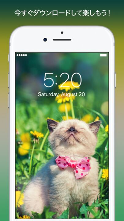 Everpix 高画質で綺麗な壁紙と背景画像アプリ Iphone Ipad アプリランキング